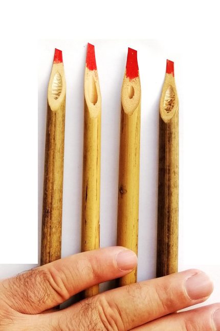 Bambu Kamış Kalem Yuvarlak-uzun Boy (24-28CM ARASI)-1 Adet